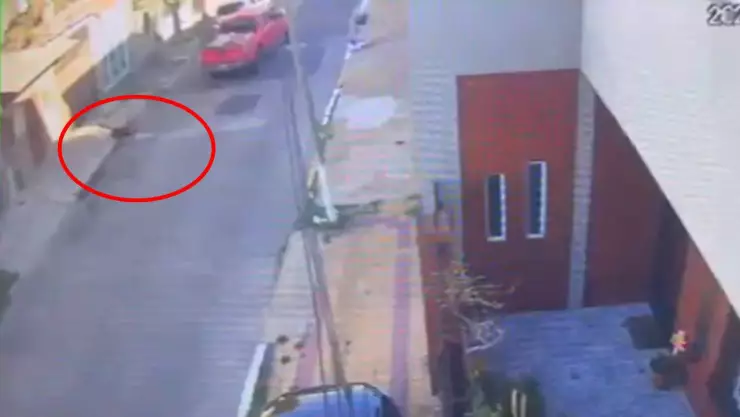 jubilado 76 años se defiende