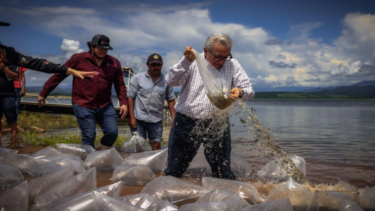 ¿Cuántos años de prisión se enfrentaría Rubén Rocha Moya?