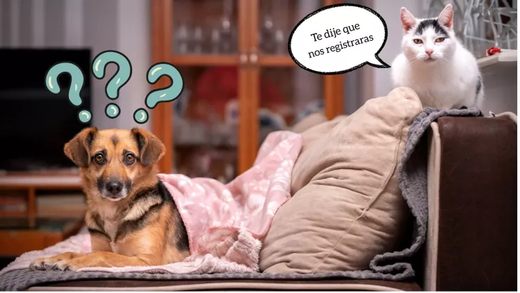 registrar mascota RUAC