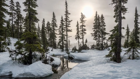 estación invierno 2021