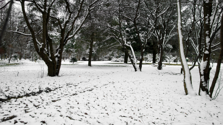nieve ciudad juárez