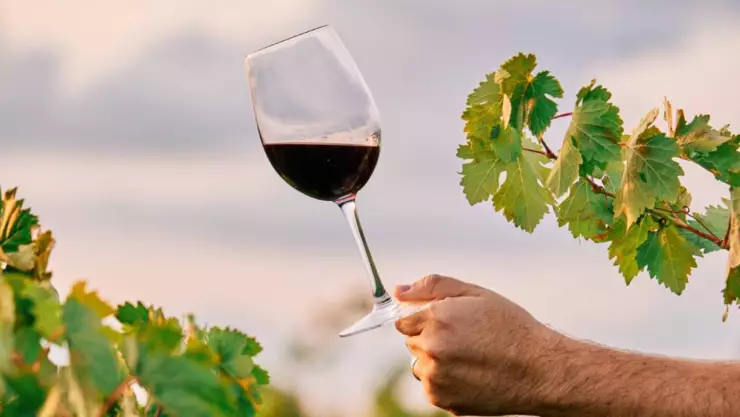 Fiestas de vendimia 2025