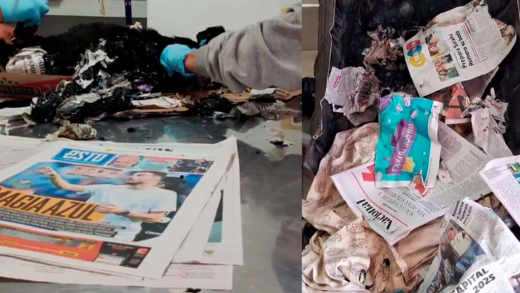 Rescatan a perrita que fue aventada a un tambo de chapopote en Chihuahua