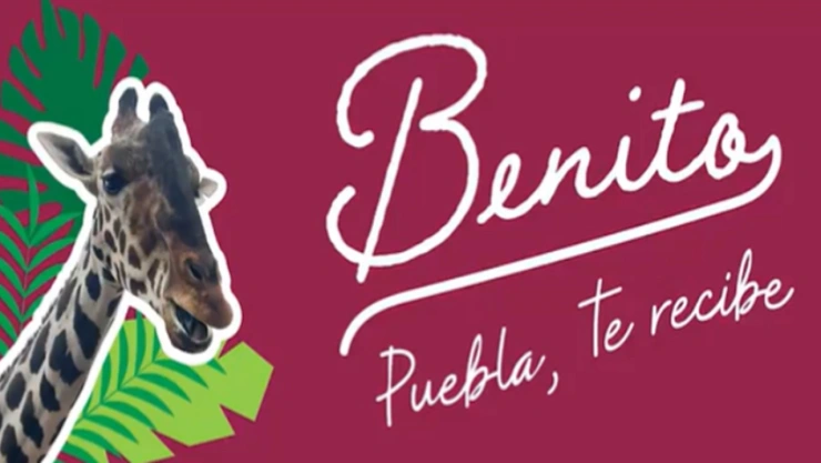 benito la jirafa llegará a Puebla