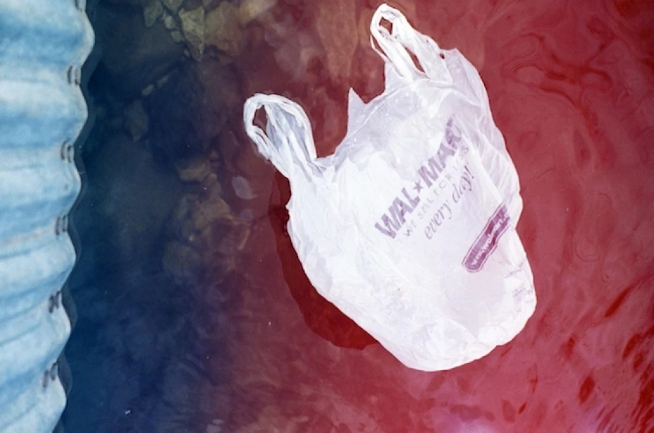 El empleado responsable argumentó que los restos no cabían en las urnas que la familia pidió