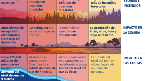 Consecuencias cambio climático