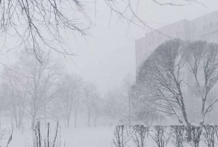 Tormenta invernal.jpg