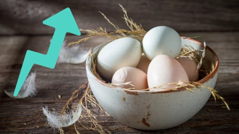 _¿Por qué hay escasez de huevo en Estados Unidos y cómo afectará a Guanajuato.png