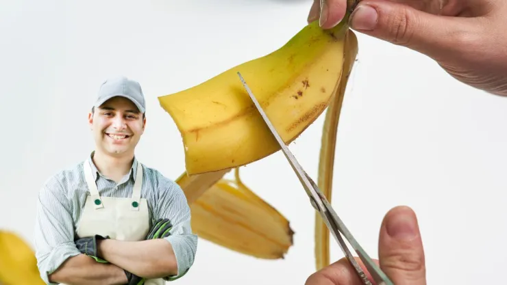 Los expertos en jardinería coinciden: esta es la razón por la que debes mezclar la cáscara del plátano con agua