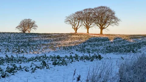 ¿Cuánto durará el frente frío 27 en Aguascalientes Las temperaturas mínimas que se pronostican en el estado