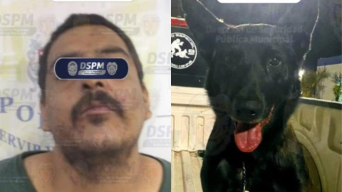 Perro K9 “Bush” neutraliza a hombre agresivo en colonia Villa Juárez
