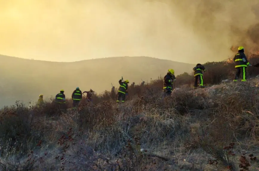 Al momento hay 1,645 personas evacuadas y 3 refugios activos. La mayor afectación se reporta en Ensenada (5,000 hectáreas) y Tecate (1,250 hectáreas).