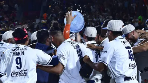 Leones de Yucatán Tigres de Quintana Roo