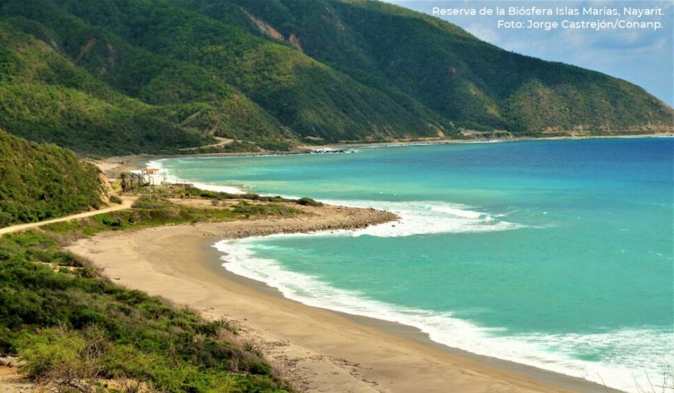 Islas Marias Sera Reserva De La Biosfera Senado Aprueba Cerrar Carcel