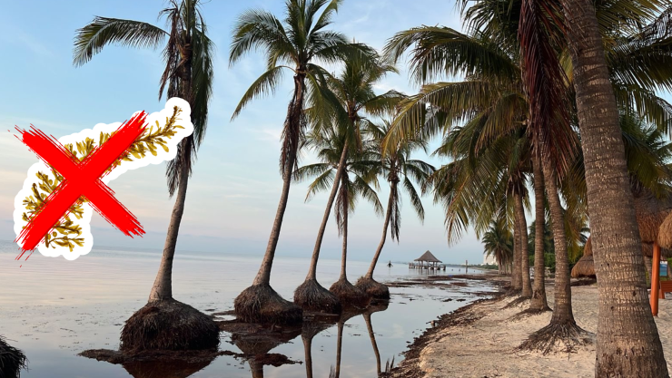 Playas sin sargazo en Cancún, Isla Mujeres, Holbox, Puerto Morelos, Playa del Carmen y Cozumel hoy 7 de septiembre de 2025.jpg
