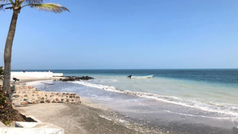 Mar de Veracruz cambia de color