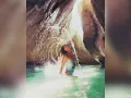 12 gisele bundchen instagram fotos tom brady nfl.jpg