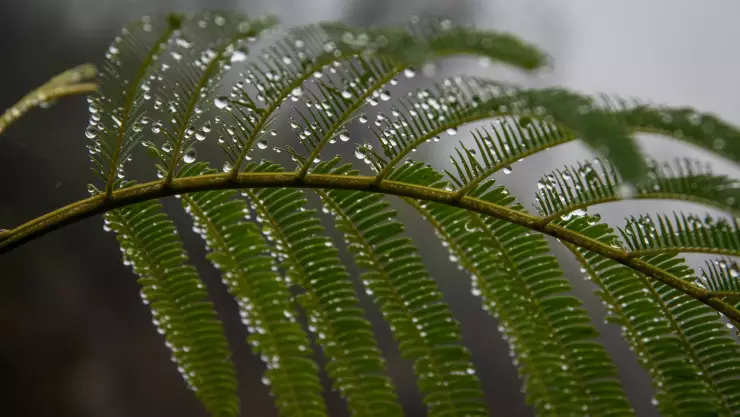 Clima en Morelos hoy