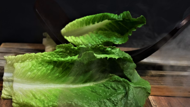 ¡Alerta en México! Confirman 33 casos de Cyclospora; estos estados ya reportan contagios