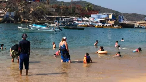 ¿Cuáles son las playas que cerrarán debido al ataque de un tiburón?