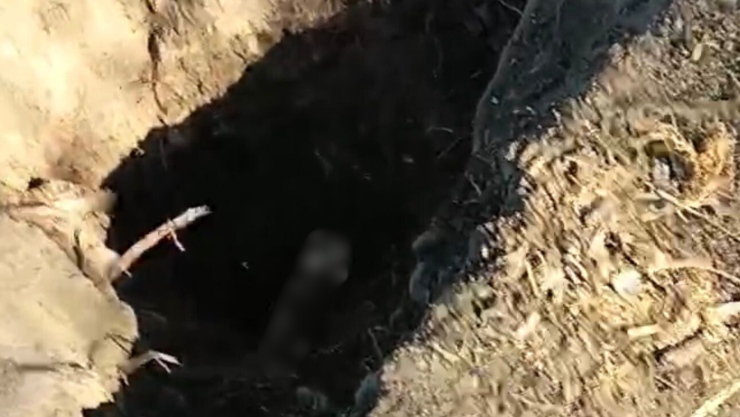 Madres buscadoras encuentran cuerpo en Purísima de Abajo, Irapuato, miércoles 11 marzo 2026.png