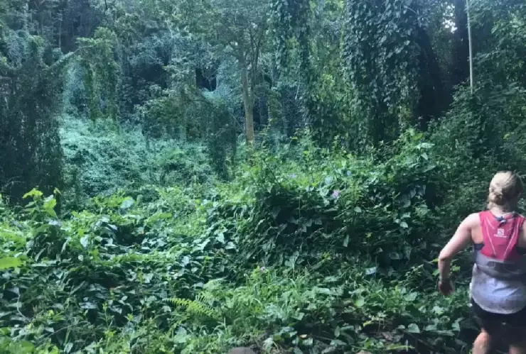 Mujer capta a demonio en selva de Hawái y se viraliza; FOTOS