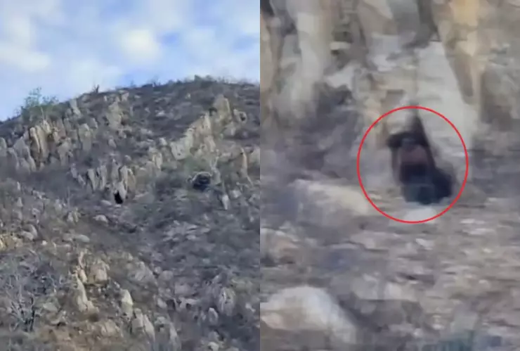 Cabo San Lucas, México