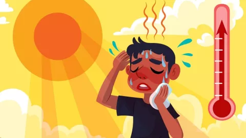 Canícula ola de calor