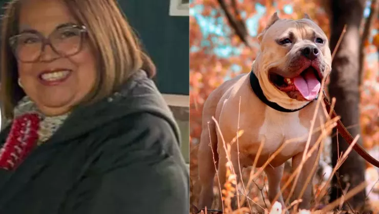 Mujer es atacada por dos perros pitbull al intentar darles de comer