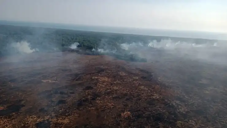 INCENDIO CHIAPAS (7).jpeg