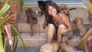 Mujer protege cerca de 100 perros callejeros del huracán ´Dorian´