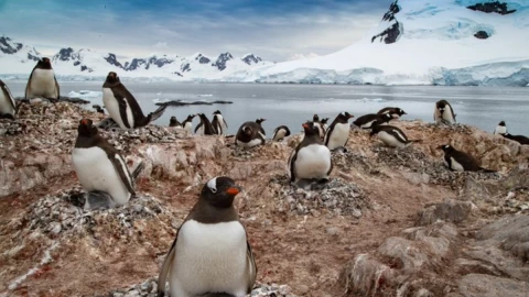 oc&eacute;ano austral .jpg