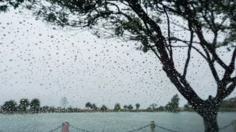 Frente Frío 33 Chihuahua