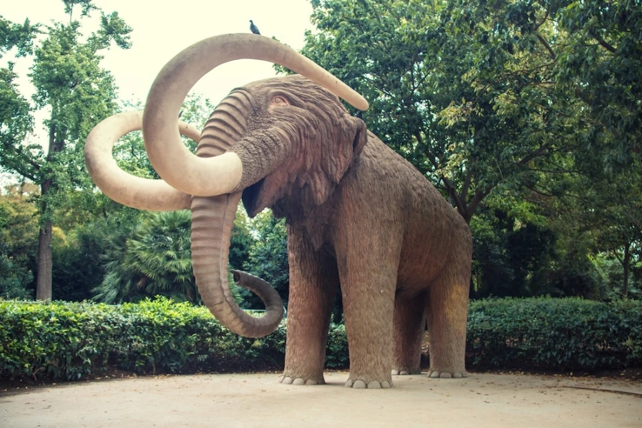 Mamut