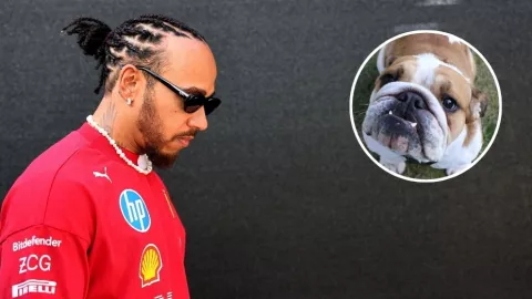 GP de México rindió homenaje a Roscoe, perro de Hamilton