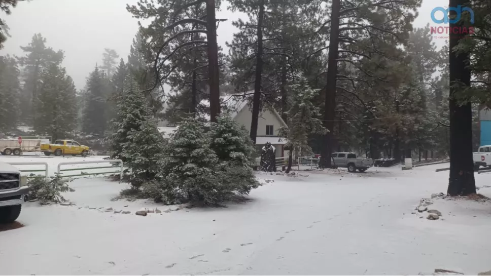 Cae la primera nevada de la temporada