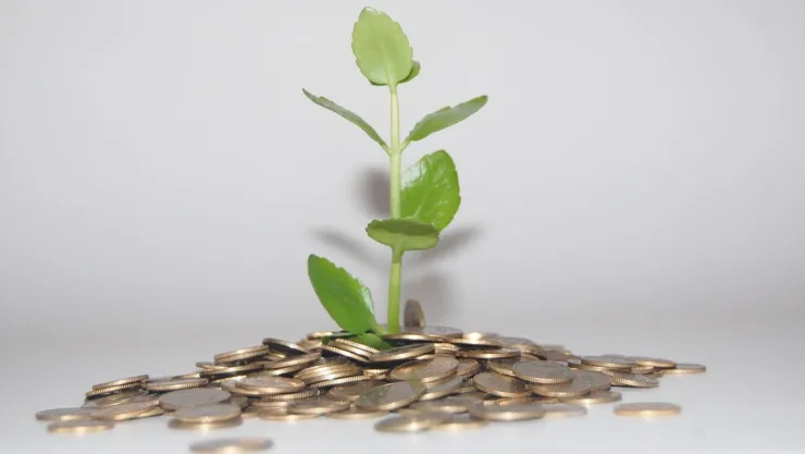 Esto es lo que le pasa a tu dinero si entras a una tanda