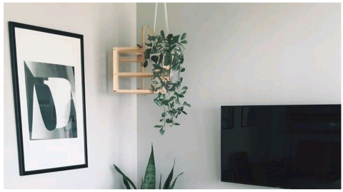 remodelación apartamentos pequeños cuadros arte