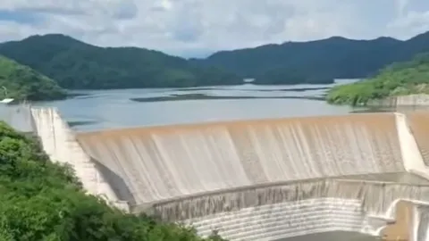 Presa Picachos