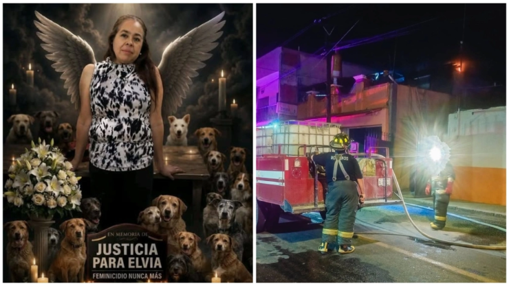 Elvia