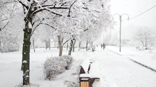 ¡Se vienen las primeras nevadas en Estados Unidos!