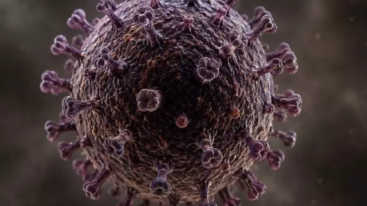 ¡Alerta! Pasajero evacuado del crucero con HANTAVIRUS presenta síntomas tras llegar a su país