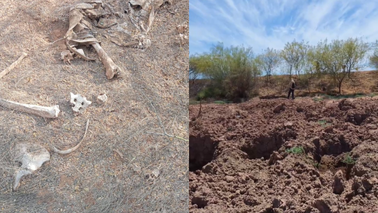 Madres Buscadoras de Sonora encuentran restos en carretera de la muerte