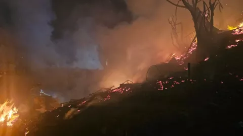 Bomberos sofocan incendio que afectó cinco casas en Lomas Taurinas