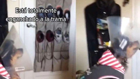 perrito se asusta película de terror