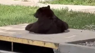 1280 x 720 px (85).jpg