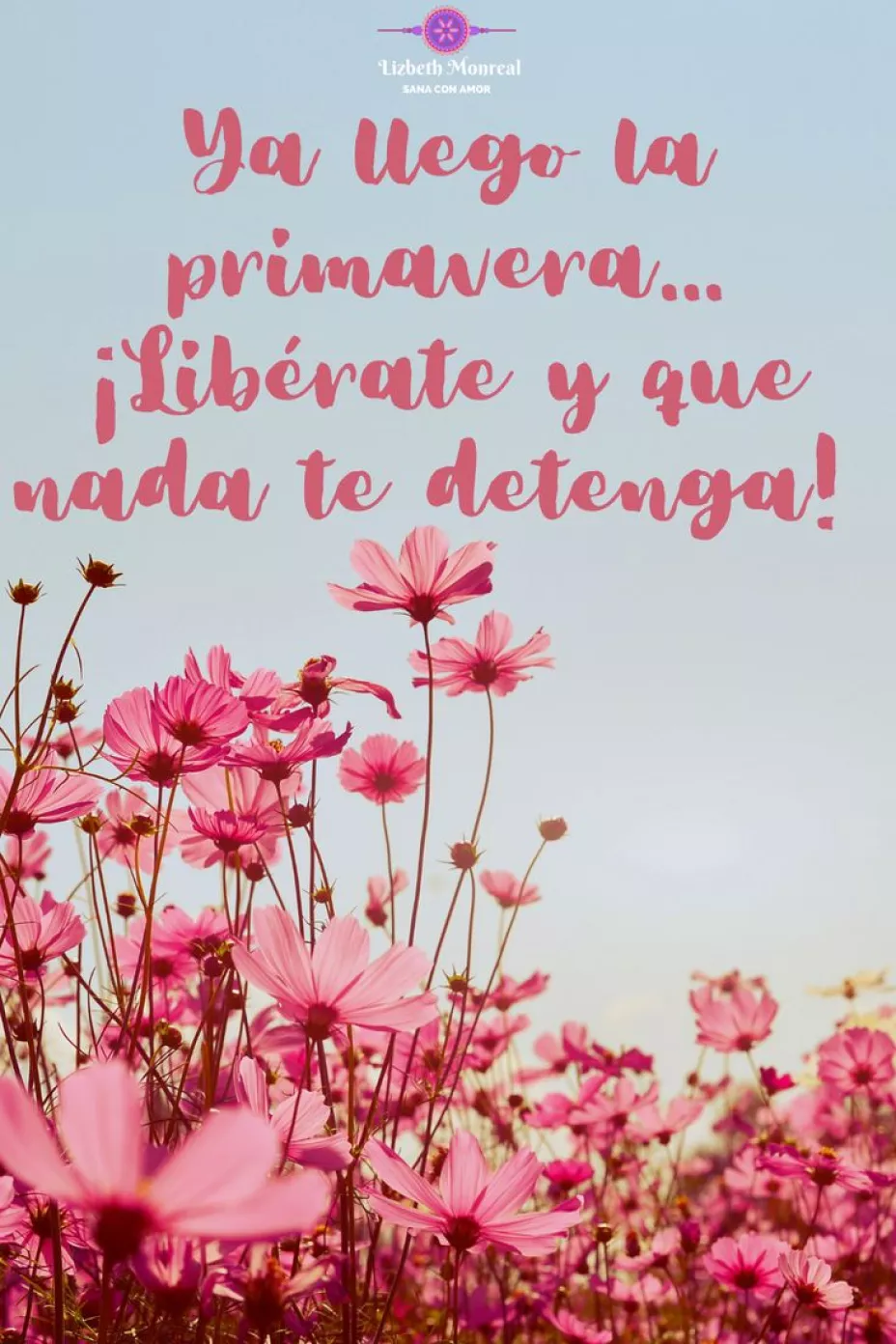 Imágenes del equinoccio de primavera con frase para desear buenos días
