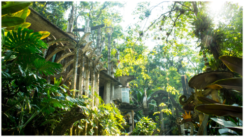 xilitla san luis potosí