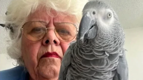 Una mujer de 76 años no pudo regresar de Puerto Rico a Nueva York tras ser rechazada por volar con su loro