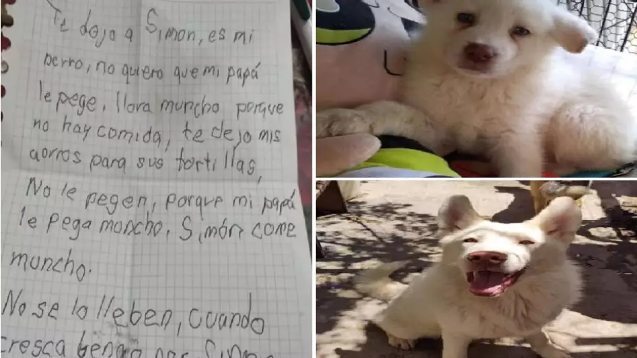 Niño deja a su perrito Simón en albergue y le manda cartas.jpg